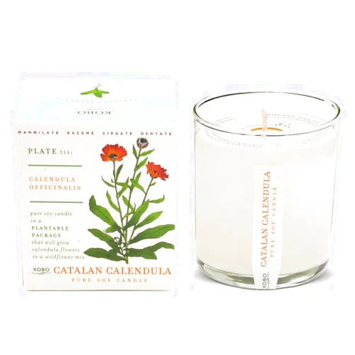 KOBO Catalan Calendula Candle with Plantable Box (9 oz) Catalan Calendula 9 oz