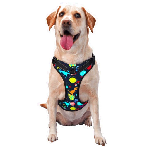RIMENCH No Pull Dog Harness Reflective Adjustable Vest with a Training Handle Easy to Put on & Take Off Zodiac Constellation Planet Galaxy Starry Night Stars Space UFO Cartoon Dinosaurs Dog Harness