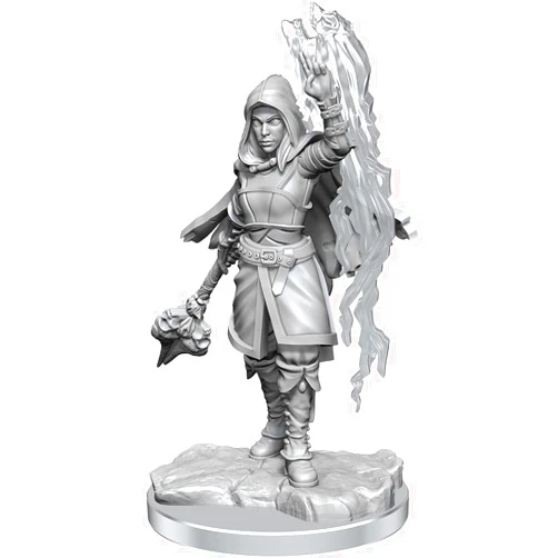 WizKids D&D Nolzur's Marvelous Miniatures: Half-Elf Warlock Unpainted Dungeons and Dragons Miniatures