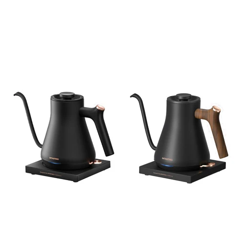 Intasting Electric Kettle for Fast Boiling Hot Water, Perfect for Brewing Coffee and Tea