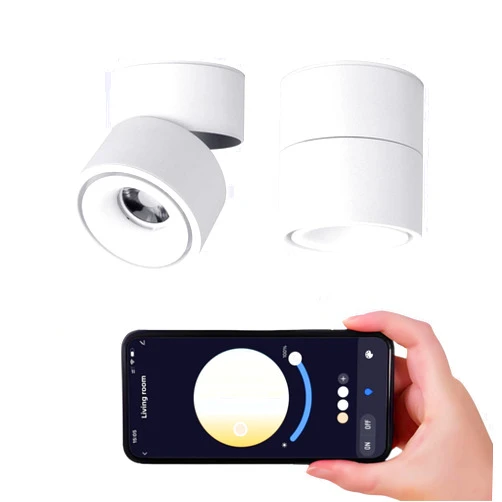 Vrnzau LED Ceiling Spotlight Indoor Dimmable - Tuya Smart Life 360° Adjustable 12W COB Ceiling Downlight Aluminum Hard Wired For Bedrooms Rooms Corridors Painting Background Walls (White, A (4.02