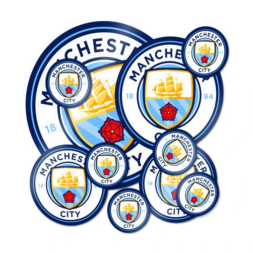 Desert Cactus Manchester City Stickers Man City MCFC Sheet Vinyl Football Soccer Decal Laptop Water Bottle Car Scrapbook Sheet (Type 3-1)