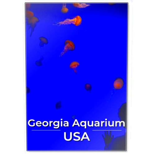 Photomagnet Georgia Aquarium, USA, Fridge Magnet