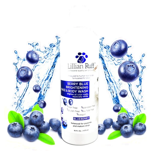 Lillian Ruff Berry Blue Brightening Face and Body Wash for Dogs - Blueberry Shampoo - Remove Tear Stains, Hydrate Dry Itchy Skin, Add Shine & Luster to Coats (Berry Blue Shampoo 16oz)