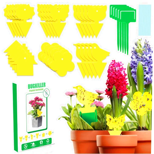 BUGKILLER 30PCS Yellow Fruit Fly Traps for Indoors, Fungus Gnats Sticky Traps for Plants, Gnat Traps for House Indoor, Used for Mosquitoes, Whiteflies, Thrips, Leaf Miners...(Non-Toxic, Dual Sided)