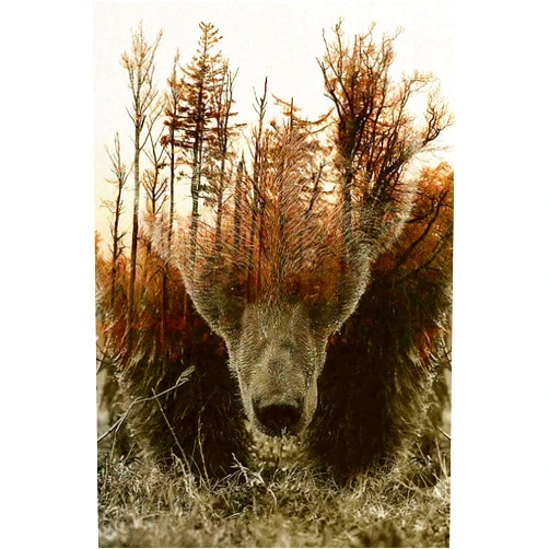 Najiaxiaowu WOZUIBAN Adult Puzzle Classic Jigsaw Puzzle 1000 Pieces Wooden Puzzle DIY Forest Map Bear Modern Home Decor Unique Gift Intellectual Game 75x50cm