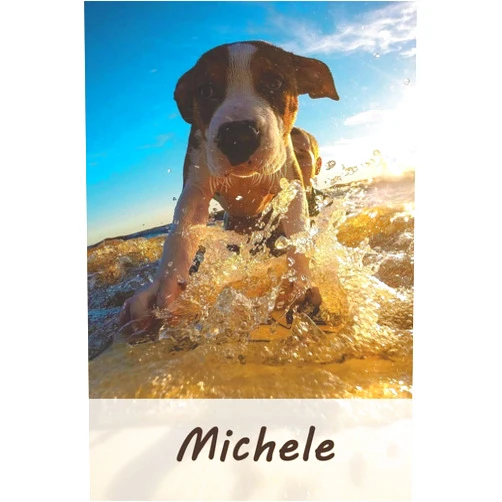 German Edition by emuvilus publishing (Author) Michele: Tagebuch / Journal Personalisiertes Notizbuch Michele - individuelles Namensbuch mit Hunde Motiv | DIN A5 100 Seiten | liniert (German Edition)