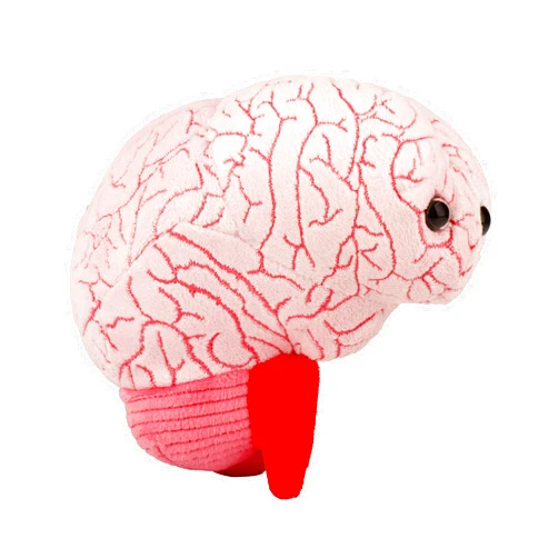 GIANT MICROBES GIANTmicrobes Brain Plush, Brain Toy, Brain Stuffed Animal, Brain Gifts For Neurologist, Brain Surgery Recovery Gifts, Neurology Gifts, Neuroscience Gifts, Brain Injury Gift, Brain Decor, Biology Gift