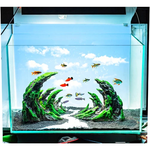 Novelsite Fish Tank Rocks Decor Aquarium Ornaments,Aquarium Rocks Aquascaping,Sandstone Fish Tank Decor,Natural Rocks for Aquariums,Paludarium,Terrariums and Rocky Peaks,Green Color