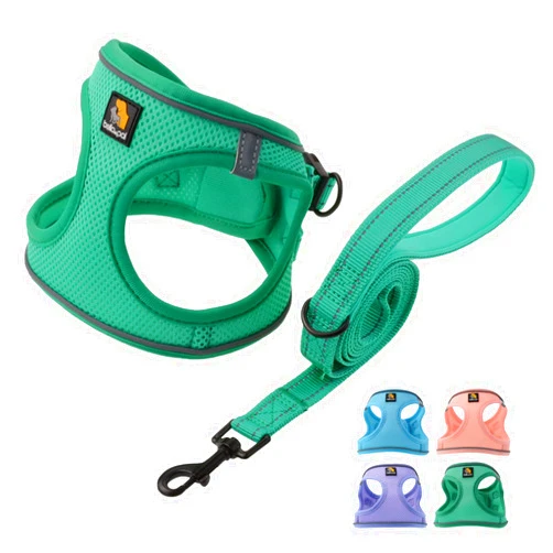 BELLA & PAL Puppy Harness with Leash Set, Dog Harness for Small Dogs No Pull, Dog Leash for Small Dogs, Step in Harness for Extra Small Dogs, Green Harness, XS