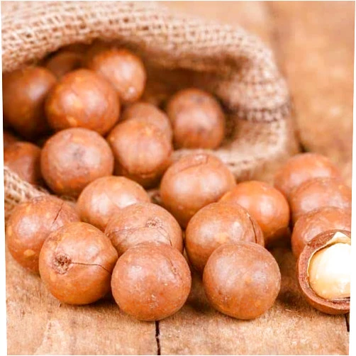 Generic Macadamia Nuts- Raw inshell JUMBO (5)