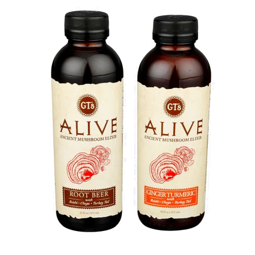 Generic GTS LIVING FOODS Alive Elixir Root Beer (1 bottle-16oz) Guayusa Turmeric Alive Sparkling Cider, 1 (bottle 16 Fl Oz)