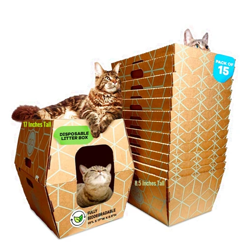 Cats Desire Tallest Disposable Cat Litter Box 15 Trays 2 Trays Litter Box Low Entry Original Patented Indentical Design19 Lx17 Wx8.5 17 in. Closed Box. Woman Lifelong Cat Care Sassy Uses Daily 14 yrs Made-US