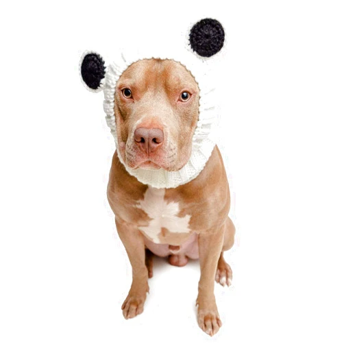 Zoo Snoods Panda Costume for Dogs- Warm Ear Wrap Hood for Pets, Kungfu Panda Dog Outfit for Winters, Halloween, Christmas & New Year, Soft Yarn Ear Covers (Large)