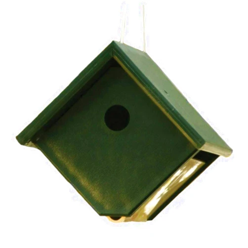 Songbird Essentials Recycled Plastic Wren House Hunter Ivory