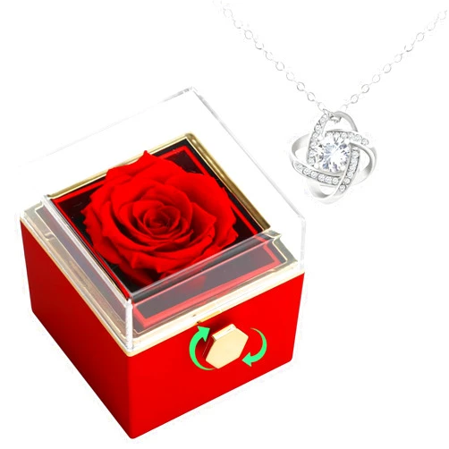 AINYROSE Rotate Preserved Red Rose Box Gifts with Silver Necklace Forever Flower Rose Christmas Birthday Valentine's Day Gifts for Woman Mom Wife Anniversary Girlfriend