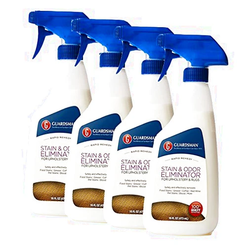 Guardsman Stain & Odor Eliminator