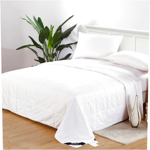 LILYSILK 100% Silk Duvet/Comforter Queen, White, Cool for Summer, Warm for Fall&Winter, Machine Washable Long Strand Silk Quilt, 100% Cotton Cover-Oeko-Tex Quality Certified-0.55kg, Twin 67’’x87inch’’