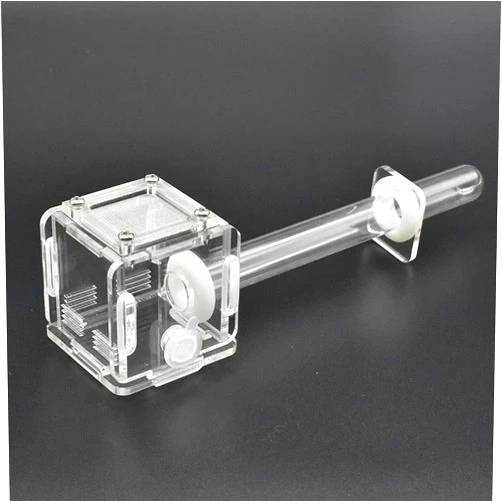 DELLMAO Acrylic Transparent Mini Ant Nest Glass Nest Tube Farm Experiment Small Colony Feeding Area Ant Observation Science 50x50x50mm