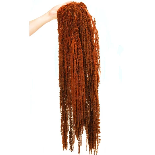 Jtoder 5Pcs Dried Amaranthus Hanging Flowers, Natural Preserved Flower for Wedding Arch, Exhibition, Wall Hanging Lover Tears, Floral Arrangement, Home Decor (Brown, 24