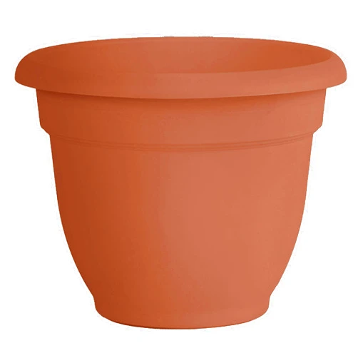 Bloem Fiskars 20-56106 Ariana with Self-Watering Grid, 6