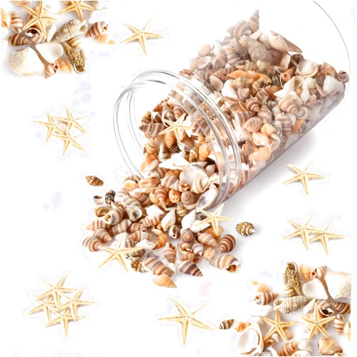 Wanwanzi 1200 PCS Tiny Sea Shells &10 Small Starfish - Mixed Ocean Beach Spiral Seashells for Fish Tank and Vase Filler, Beach Theme Party, Wedding Decor - DIY Craft Supplies