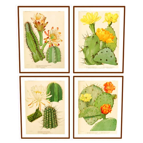 heshengzaixian Vintage Cactus Wall Art Canvas Poster, Cacti Desert Botanical Prints, Succulent Plants Decor for Home Office College, Plant Lovers,Set of 4-8x10 UNFRAMED