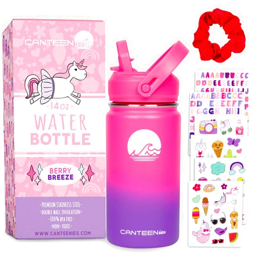 Canteenies Kids Water Bottle for School, 14 Oz, Straw Lid, Stickers, Scrunchie, Vacuum Insulated Stainless Steel Double Walled, BPA Free Food-Safe, Leak-Proof Tumbler Travel Cup For Girls
