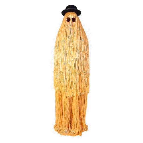 Orion Costumes Hairy Cousin Adult Unisex Costume | One Size