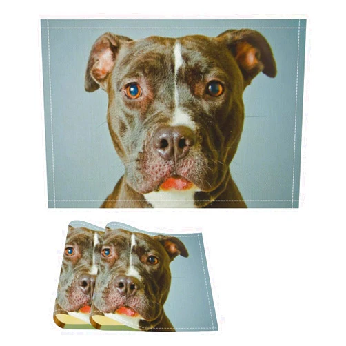 Zenladen022 Pit Bull Dog Placemats Washable Heat Resistant Flax Table Mats for Dining Kitchen Decor 2PCS