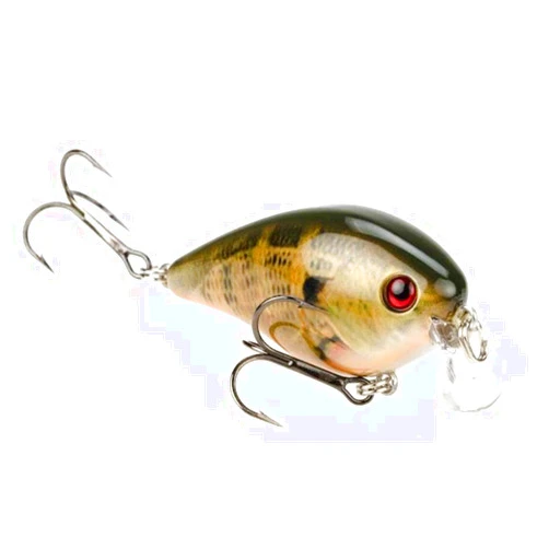 Strike King KVD 1.5 Shallow Square Bill Crankbait