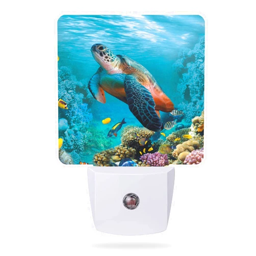 AOWULA Night Light Plug into Wall,Sea Turtle Corals Fish Night Light with Dusk to Dawn Sensor Night Light for Kid Girls Boys Women Men Room Decor,Hallway,Kitchen,Bathroom,Nursery,Stairs