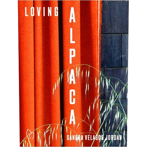 Sandra Velasco Jordan Loving Alpaca