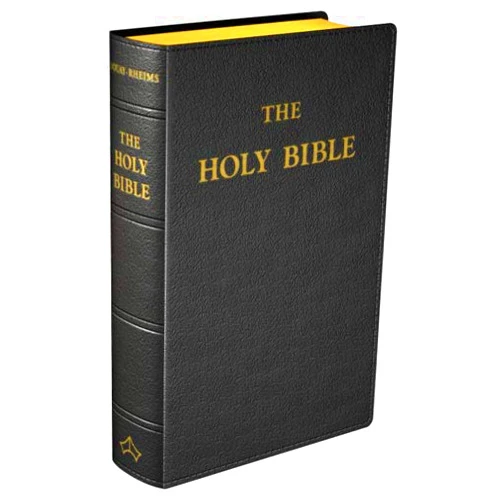 By Roman Catholic Church (Author), Richard Challoner (Editor) Douay-Rheims Bible (Large size) Flexible cover (Black Leather)
