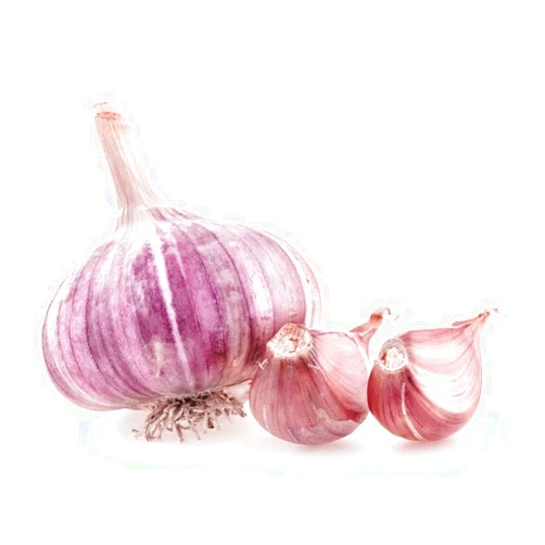 Dirt Goddess Super Seeds GARLIC! Organically Grown! ** Many varieties ** (1/2 Lb, Purple Russian Hardneck)