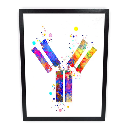 Dignovel Studios 8X10 Unframed Antibody Symbol Medical Science Art immunology Illustration Watercolor Art Print Poster Wall Hanging Decor DN844