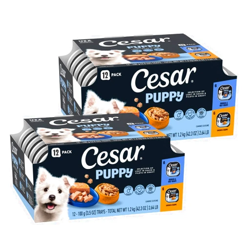 Cesar Puppy Classic Loaf in Sauce and Filets in Gravy Wet Dog Food Variety Pack, Chicken & Beef and Chicken Recipes, 3.5 oz. Easy Peel Trays, Dog Food Toppers, 12 Count (Pack of 2)