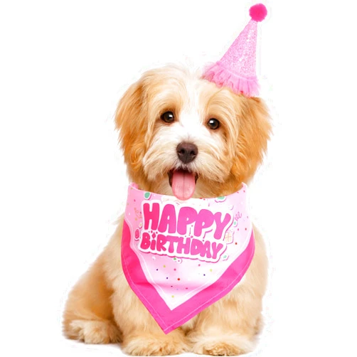 Pistha Dog Birthday Party Bandana Hat Set Dog Birthday Bandana Scarf and Dog Birthday Hat with Number for Dog Pet Birthday Party (Pink Scarf & Hat)