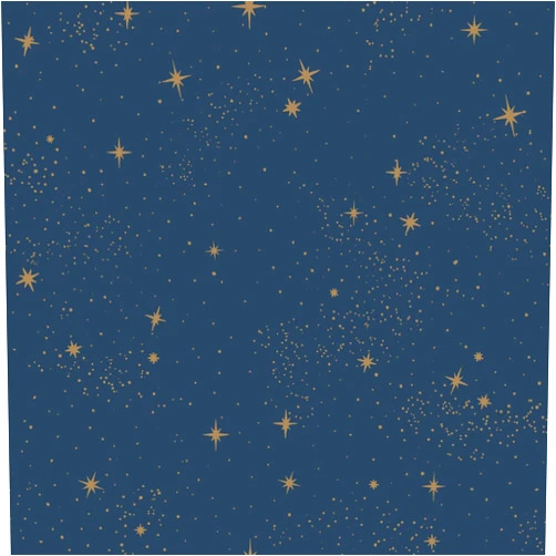 RoomMates RMK11319WP Upon A Star Navy and Metallic Peel and Stick Wallpaper