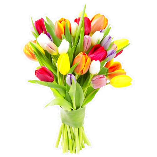 KaBloom PRIME NEXT DAY DELIVERY - Mother’s Day Collection - Bouquet of 20 Assorted Tulips Gift for Birthday, Get Well, Easter, Valentine, Mother’s Day Flowers
