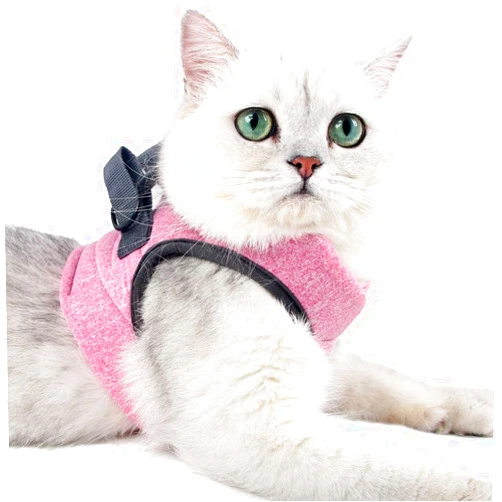 Heywean Cat Harness and Leash - Ultra Light Escape Proof Kitten Collar Cat Walking Jacket with Running Cushioning Soft and Comfortable Suitable for Puppies Rabbits (S, Pink)