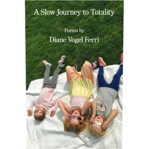 Diane Vogel Ferri A Slow Journey to Totality
