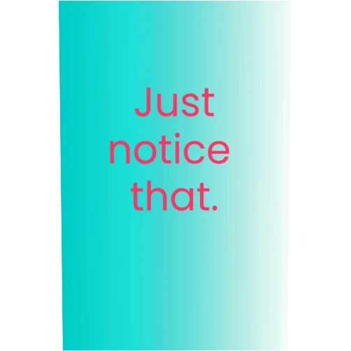 By Michelle D Risser (Author) Just Notice That: A journal for notes, insights and a-has in your healing journey.