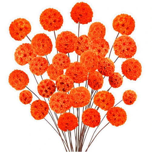 Tepaler 2Pcs Natural Dried Fall Flowers Dried Craspedia Billy Balls Flowers Autumn Floral Bouquet for Harvest Wedding Fireplace Home Offiece Decor