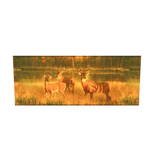 RoomMates York Wallcoverings Lake Forest Lodge CH7862BD White Tail Lake Border, Golden