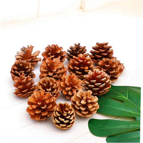 QHZHANG Natural Bulk Pine Cones,Christmas Tree Fall Ornaments,Christmas Rustic Pinecones for Home Party Decorations-18PCS