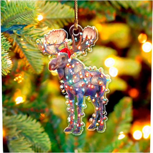 HUBELUS Personalized Moose Christmas Ornament 2025, Custom Name Forest, Woodland Animal Double-Sided Acrylic Ornament, Gift for Moose Lovers, Christmas Ornament for Girls, Family Xmas Tree Hanging Decorations