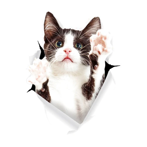 Winston & Bear 3D Cat Stickers - 2 Pack - Reaching Black & White Tuxedo Cat Decals for Wall - Fridge - Toilet - Room - Car - Retail Packaged