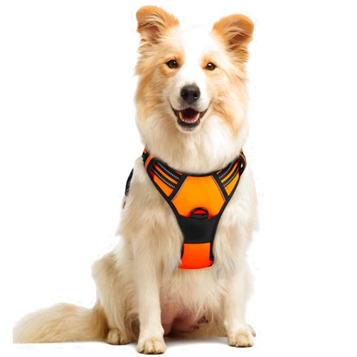 rabbitgoo Dog Harness No Pull with 2 Leash Clips, Adjustable Soft Padded, Reflective Oxford No Choke Pet Vest with Easy Control Handle for Medium Sized Dogs,Orange, M