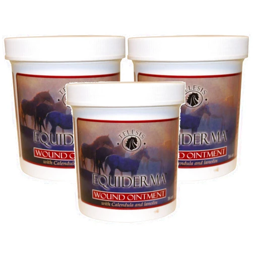 EQUIDERMA Wound Ointment for Horses, 16 Ounces Each (3 Pack / 16-Ounces)3
